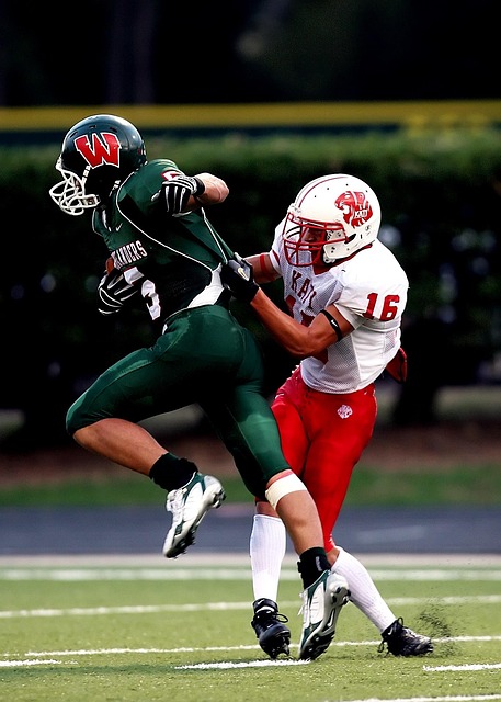 要对此进行 要对此进行